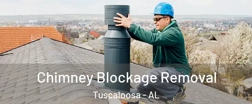  Chimney Blockage Removal Tuscaloosa - AL