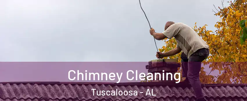  Chimney Cleaning Tuscaloosa - AL