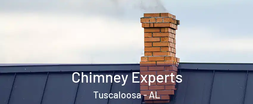  Chimney Experts Tuscaloosa - AL