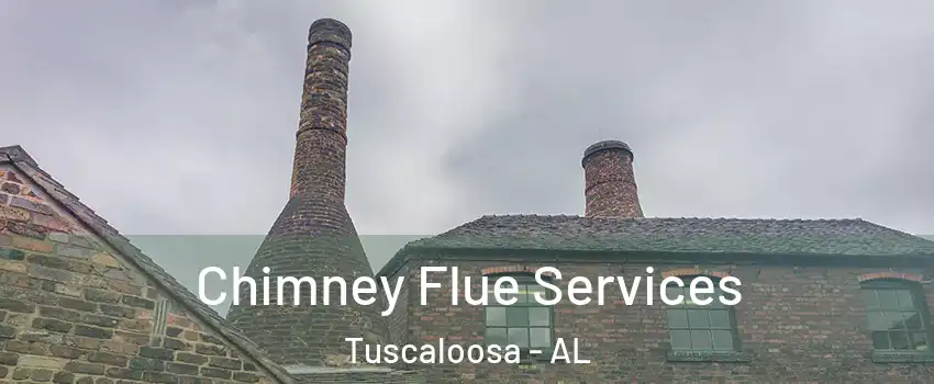  Chimney Flue Services Tuscaloosa - AL