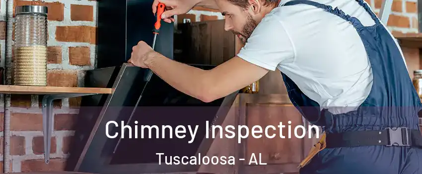  Chimney Inspection Tuscaloosa - AL