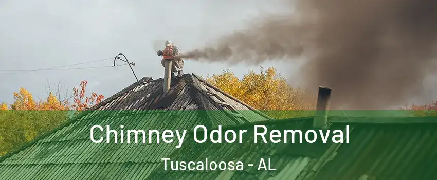  Chimney Odor Removal Tuscaloosa - AL