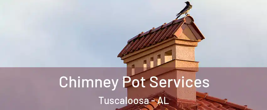  Chimney Pot Services Tuscaloosa - AL