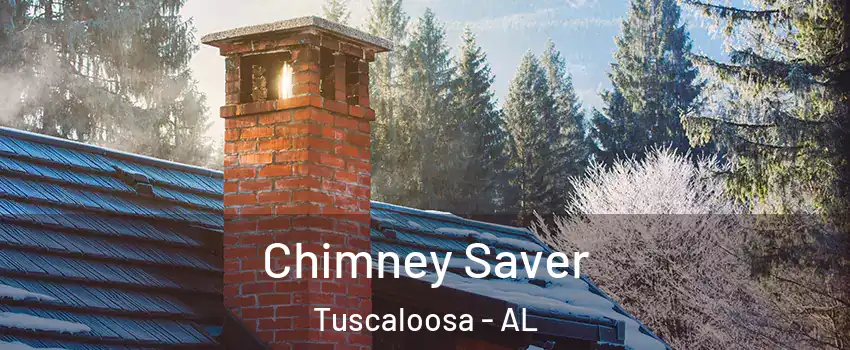  Chimney Saver Tuscaloosa - AL