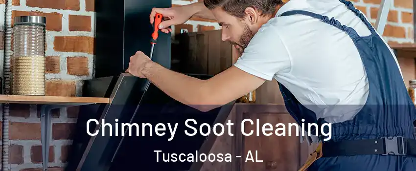  Chimney Soot Cleaning Tuscaloosa - AL