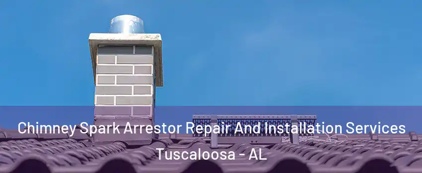  Chimney Spark Arrestor Repair And Installation Services Tuscaloosa - AL