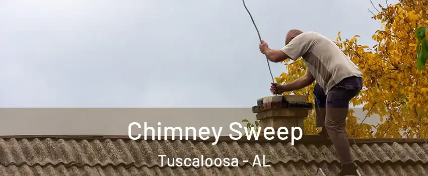  Chimney Sweep Tuscaloosa - AL