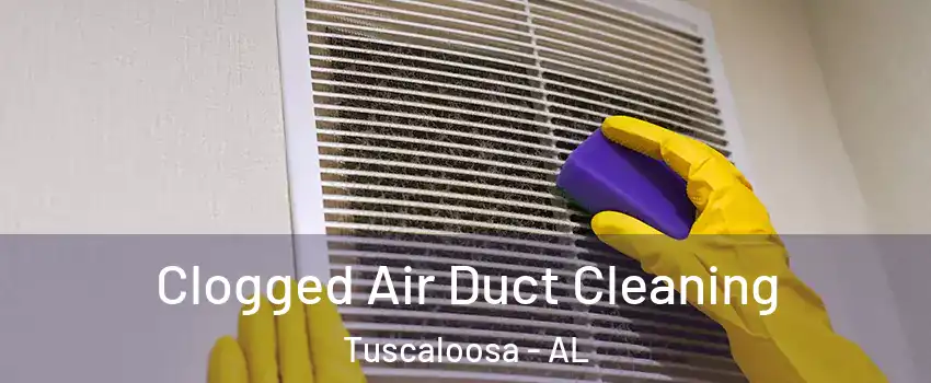  Clogged Air Duct Cleaning Tuscaloosa - AL