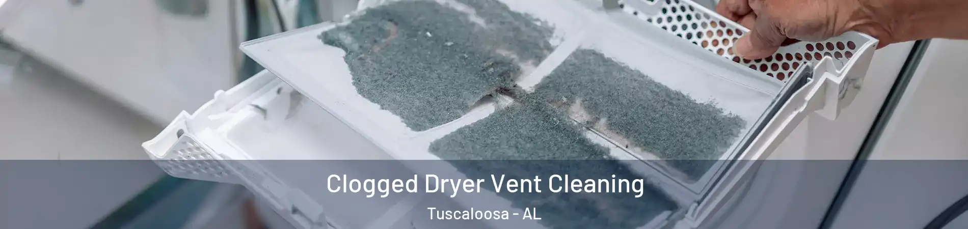  Clogged Dryer Vent Cleaning Tuscaloosa - AL