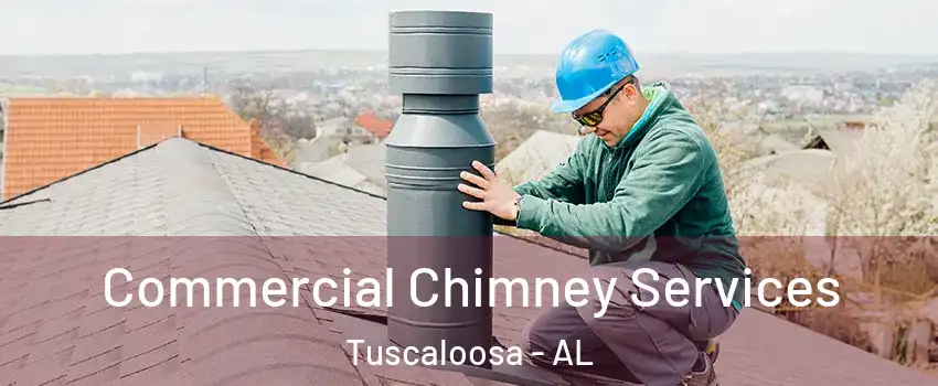  Commercial Chimney Services Tuscaloosa - AL