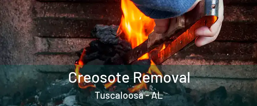 Creosote Removal Tuscaloosa - AL