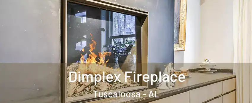  Dimplex Fireplace Tuscaloosa - AL