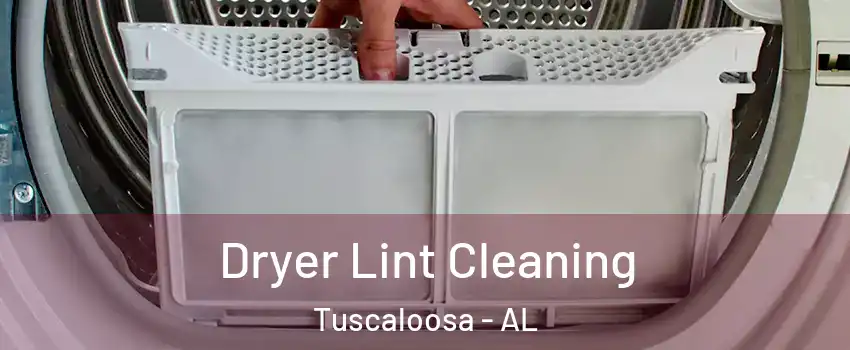  Dryer Lint Cleaning Tuscaloosa - AL