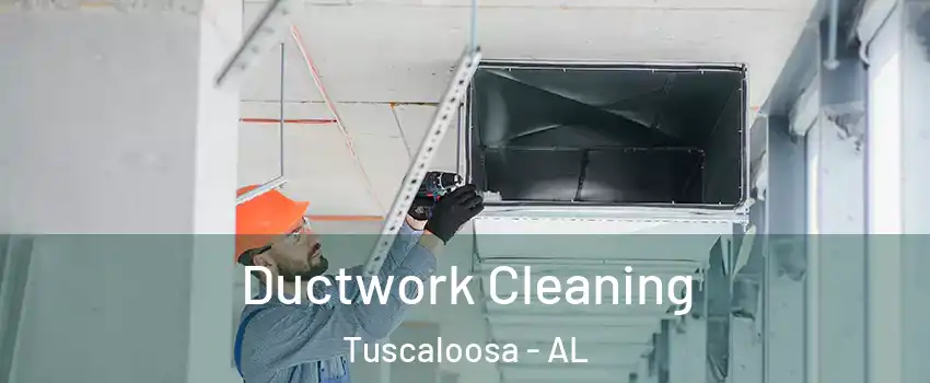  Ductwork Cleaning Tuscaloosa - AL