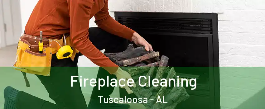  Fireplace Cleaning Tuscaloosa - AL