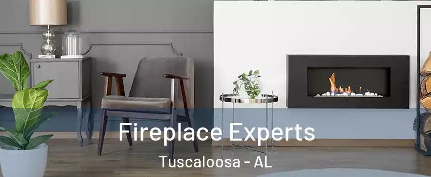  Fireplace Experts Tuscaloosa - AL