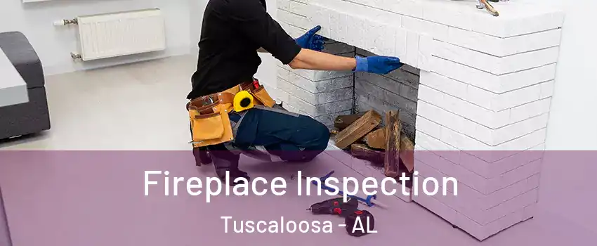  Fireplace Inspection Tuscaloosa - AL