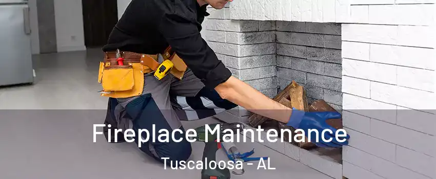  Fireplace Maintenance Tuscaloosa - AL