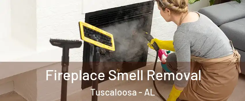  Fireplace Smell Removal Tuscaloosa - AL