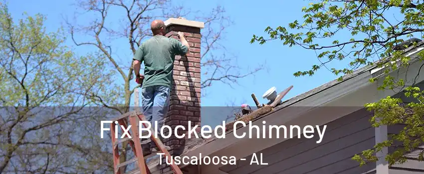  Fix Blocked Chimney Tuscaloosa - AL