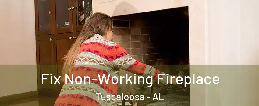  Fix Non-Working Fireplace Tuscaloosa - AL