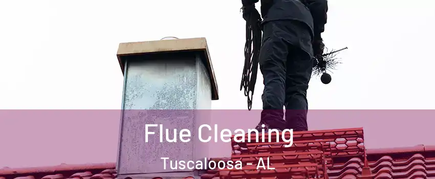  Flue Cleaning Tuscaloosa - AL