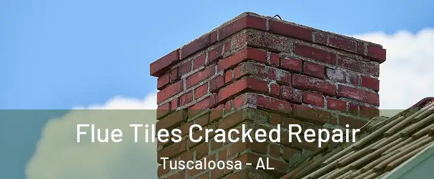  Flue Tiles Cracked Repair Tuscaloosa - AL