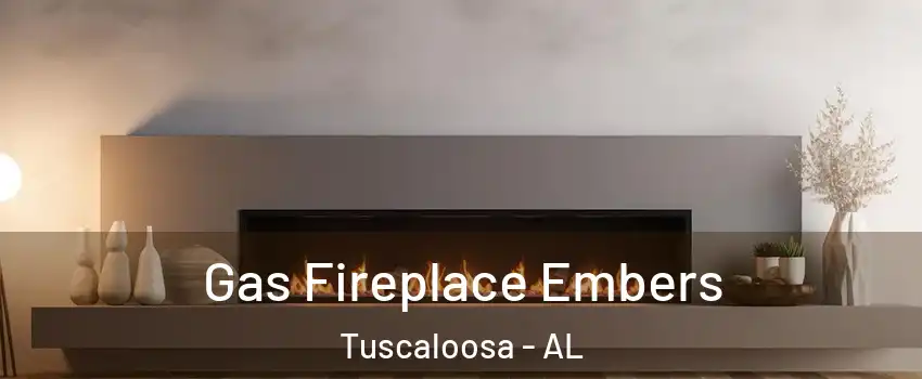  Gas Fireplace Embers Tuscaloosa - AL