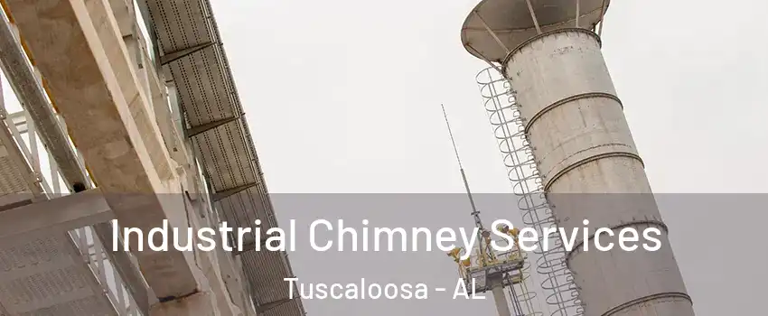  Industrial Chimney Services Tuscaloosa - AL