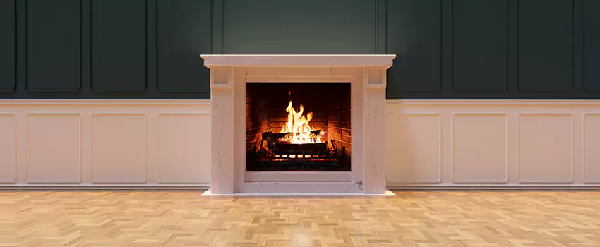 Napoleon Electric Fireplaces Inspection Service in Tuscaloosa, Alabama