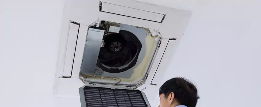 Benefits of Professional Air Duct Cleaning in Tuscaloosa, Alabama