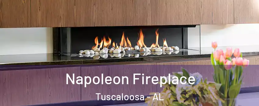  Napoleon Fireplace Tuscaloosa - AL