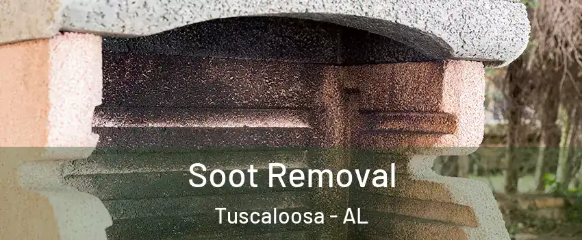  Soot Removal Tuscaloosa - AL