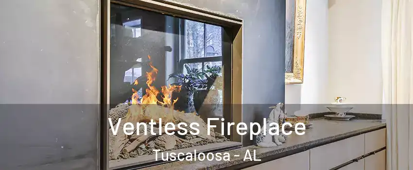  Ventless Fireplace Tuscaloosa - AL